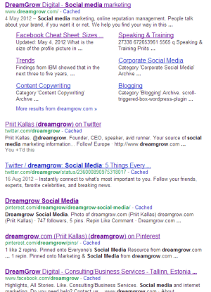 dg google 1 300x415 Controlling the First Page: Using Social Media for Reputation Management