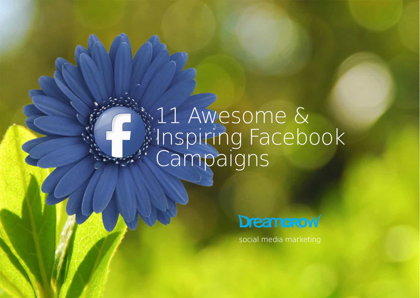 awesome inspiring facebook campaings