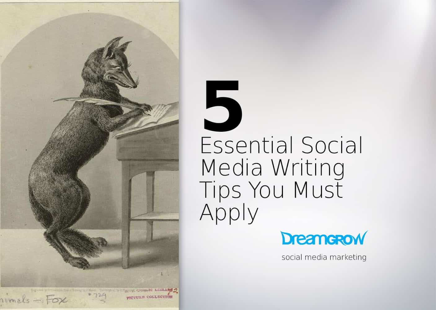 essential social media writing tips