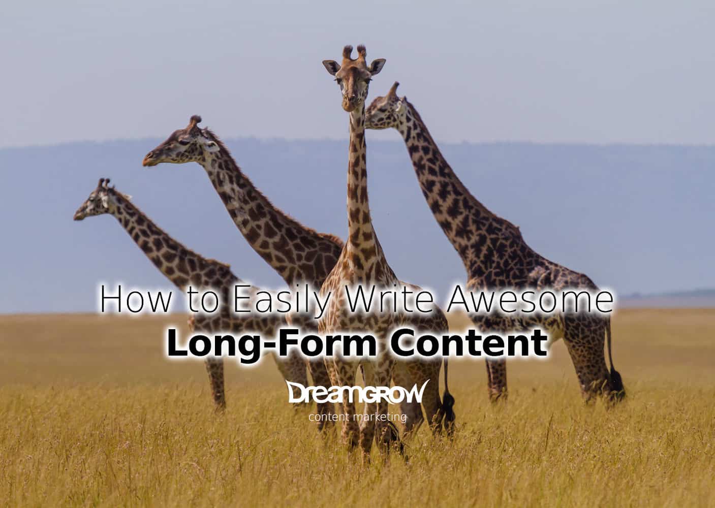 long form content