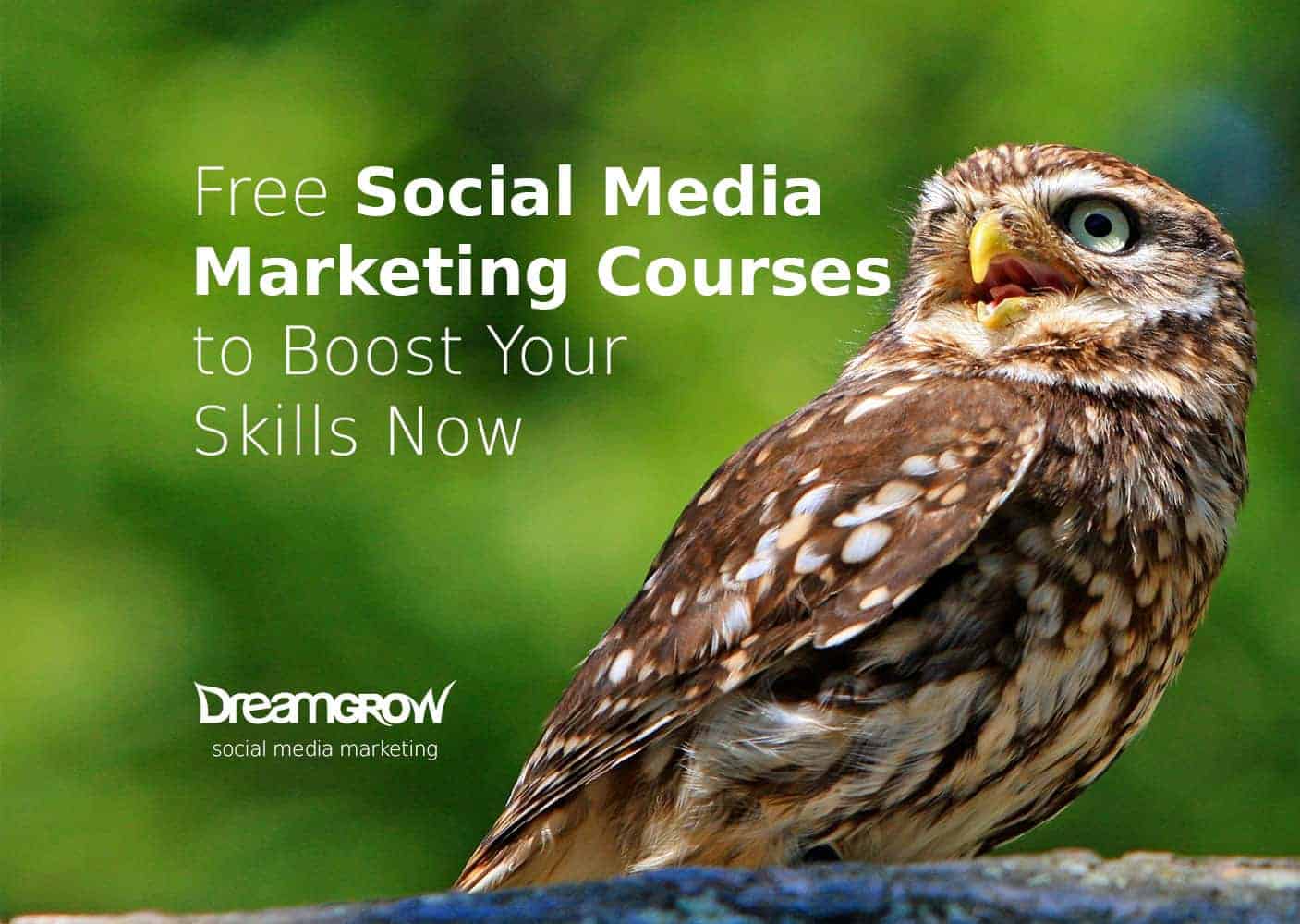 12 Free Social Media Marketing Courses to Boost Your Skills Now