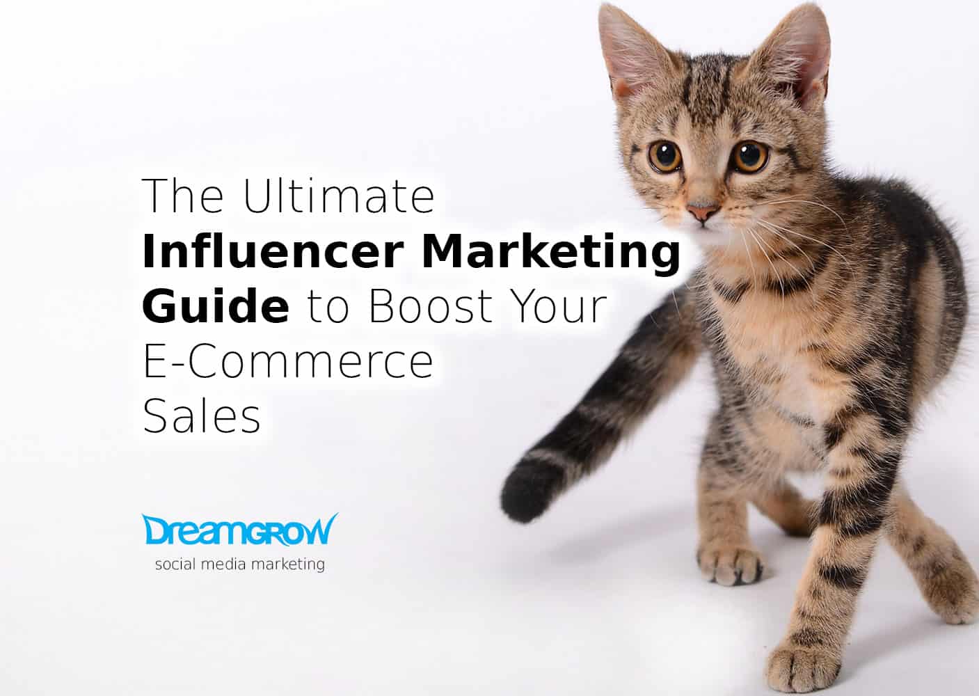 influencer marketing guide