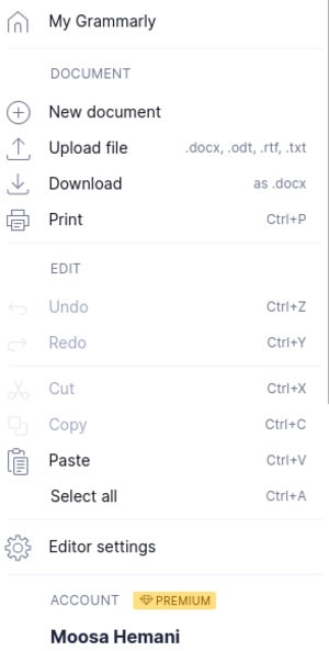 A drop-down menu of Grammarly's User Interface