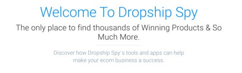 Dropship Spy - My Favorite Dropshipping Product Research Tool for Shopify