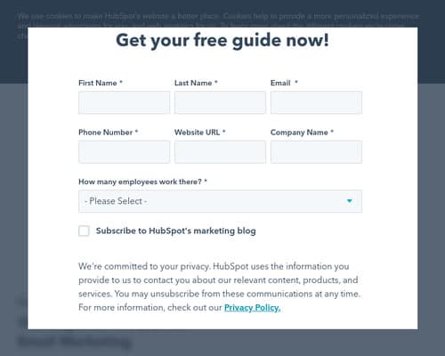 Email Marketing Campaigns - Access to additional in-depth blog content