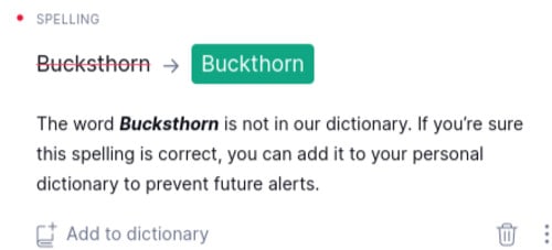 Grammarly's Personal Dictionary